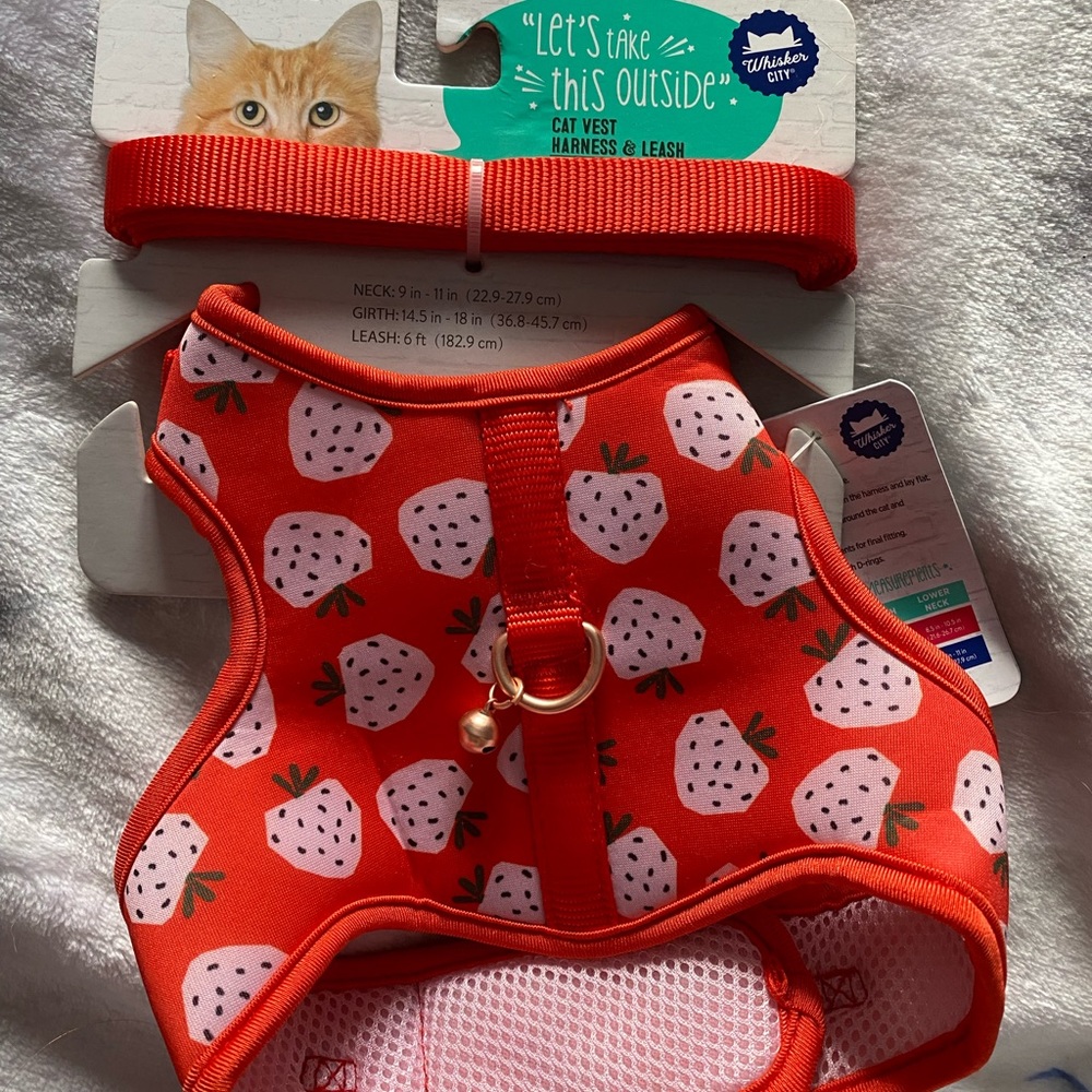 Cat Harness & Leash Set